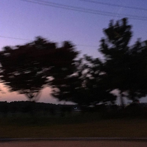 能看的草逼视频
